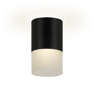 Светильник потолочный ESSEN, 52060 3 черный REV